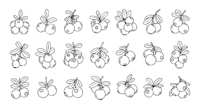 Collection of hand drawn fruit silhouettes with leaves and stems silhouette