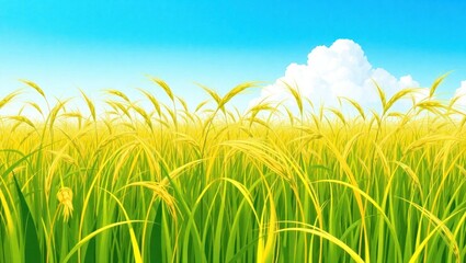 Lush green rice field under a bright blue sky with fluffy clouds