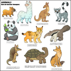 Wild animals, set of images