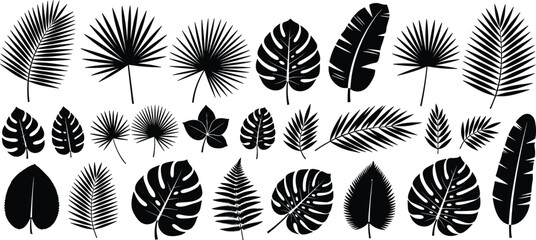 "Tropical leaf silhouettes set with palm, monstera, banana, fern, and various exotic foliage black vector nature botanical collection"