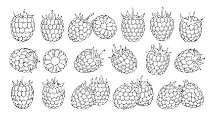 Collection of hand drawn raspberry fruit silhouettes in a repeating pattern