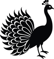 Peacock logo vector on transparent background