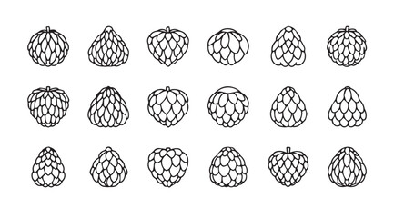 Collection of hand drawn cherimoya fruit silhouettes in a grid pattern