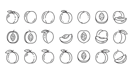 Collection of hand drawn plum and peach fruit illustrations silhouette