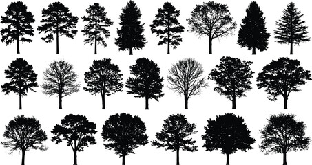 "Collection of diverse tree silhouettes in black, including pine, oak, and deciduous trees, perfect for nature and landscape designs."
