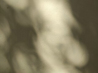 Soft, dappled leaf shadows in gentle motion across a textured wall, an abstract background for meditation content, presentations, or calm branding.