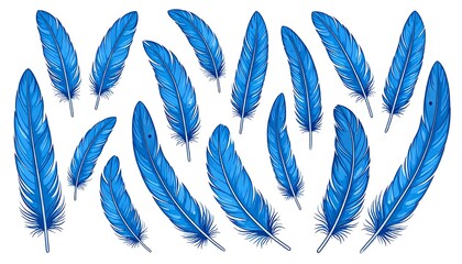 Fototapeta premium Blue feathers arranged in a pattern