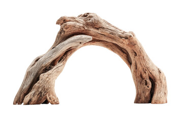 Driftwood arch, light beige tones, organic curve