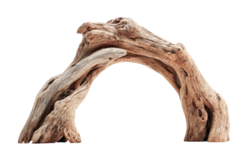 Driftwood arch, light beige tones, organic curve