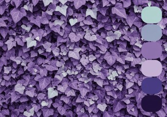 Obraz premium Vibrant purple ivy leaves creating a natural texture.