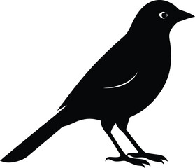 Lark bunting vector on transparent background