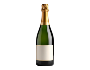 Elegant Minimalist Champagne Bottle Design