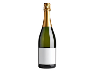 Minimal Champagne Bottle Design with Empty Label