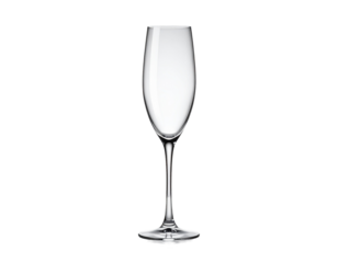 Elegant Champagne Flute in High Resolution Style