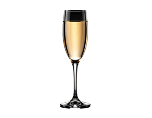 Elegant Champagne Flute on Black Background