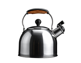 Stylish Metal Kettle for Tea Brewing