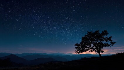 Lone tree silhouetted against starry night sky over mountains