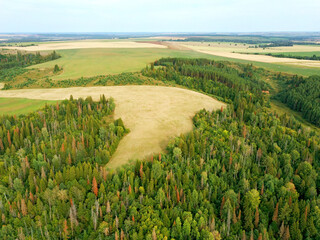 Aerial view landscape with wheat fields and forest on sunny day