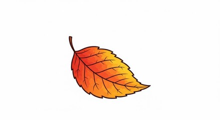 Autumn Leaf Illustration: Vibrant Fall Foliage on White
