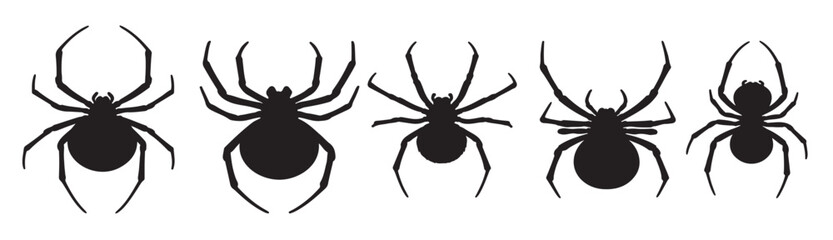 black widow silhouette white background vector illustration