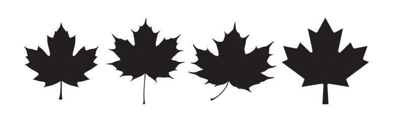 canadian maple leaf silhouette white background vector illustration