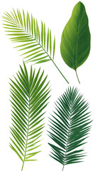 Obraz premium Close-up of vibrant green leaves, various shapes and textures