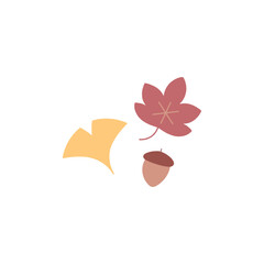 秋の自然の手描きイラスト【いちょうもみじどんぐり】