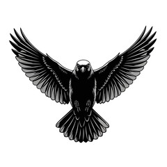 Black bird with wings spread wide in flight