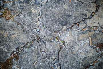 Cracked concrete surface showcasing intricate patterns, texture, and natural erosion marks.