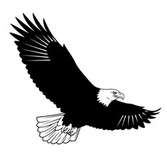Majestic bald eagle in flight silhouette black and white