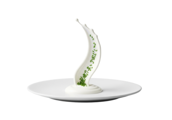 transparent, viscous, creamy sauce in dynamic sinuous shape on minimalist matte white ceramic plate, with green chives, on transparent background, high-end food styling concept for culinary artistry