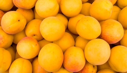 Ripe apricots piled high