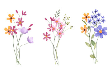 Set watercolor flowers hand painting, floral vintage bouquets with wildflowers. Decoration for poster, greeting card, birthday, wedding design. Isolated on white background.