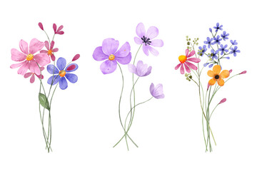 Set watercolor flowers hand painting, floral vintage bouquets with wildflowers. Decoration for poster, greeting card, birthday, wedding design. Isolated on white background.