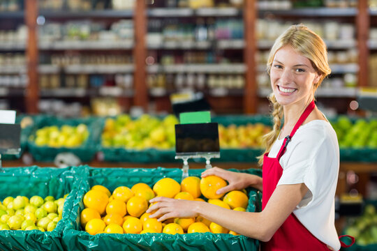 Female store employee in red apron arranging oranges in green bins at produce section, copy space