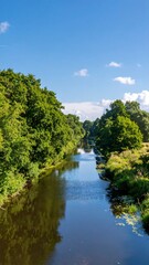 River flowing through lush green forest under a bright blue sky