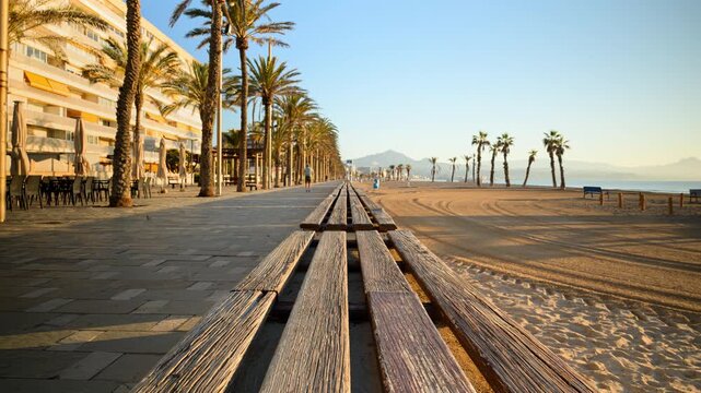 Time lapse of people walking on a palm tree lined promenade near the beach at sunrise in Alicante, Spain