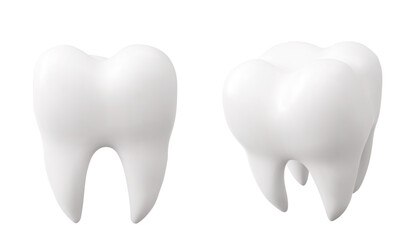 White tooth realistic 3d models with smooth enamel surface and anatomical roots for dental presentations. Clean molar with natural crown shape for medical education or orthodontic materials.