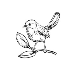 Delicate line drawing of a small bird perched on a twig with leaves