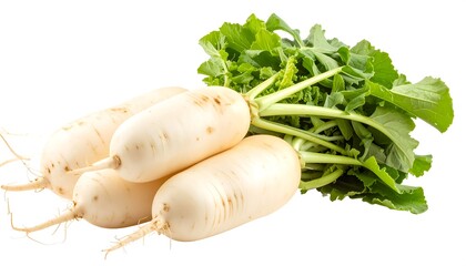 Fresh daikon radish with leaves