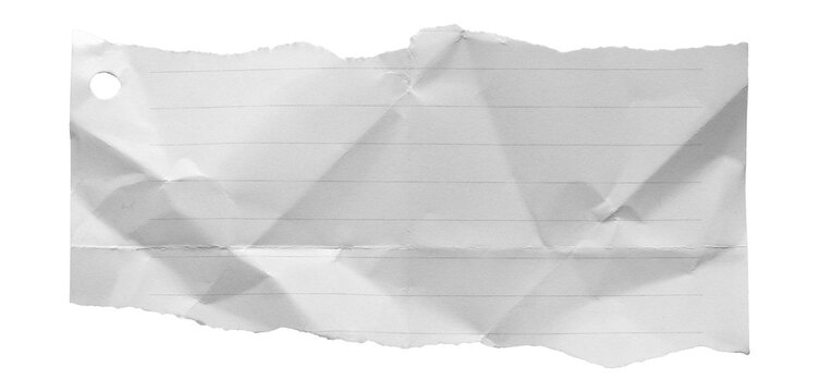 blank crumpled lined paper notebook paper with torn edges isolated on transparent background,note paper message office business tag sign