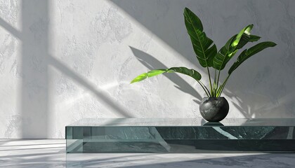 Modern interior with plant