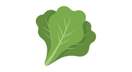 Illustrative depiction of fresh green lettuce leaves, ideal for culinary projects and health-conscious design, conveying natural freshness and