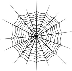 Fototapeta premium Intricate spiderweb art graphic design natural insect web decoration vector