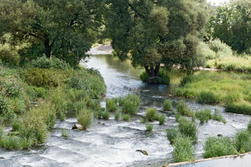 Landschaft an der jungen Donau in Baden-Würthemberg