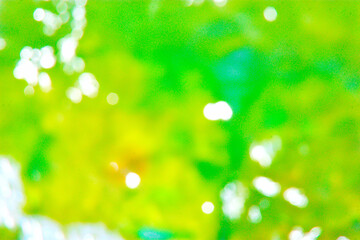 Obraz premium Abstract Green Water Texture with Light Reflection in Bangladesh