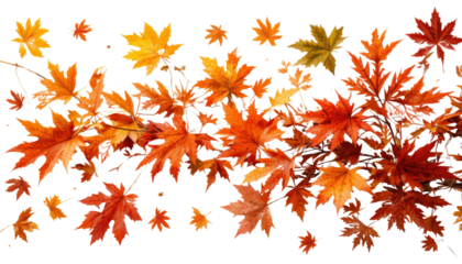 Vibrant autumn maple leaves with golden texture and falling orange decoration on a floral pattern