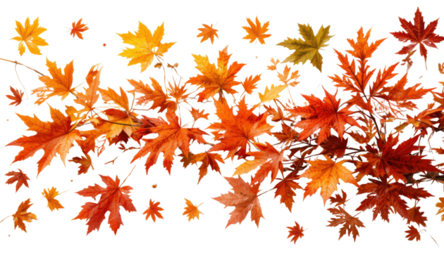 Vibrant autumn maple leaves with golden texture and falling orange decoration on a floral pattern