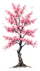 Fototapeta premium Pink cherry blossom branches with leaves and flowers reflect in the water during spring