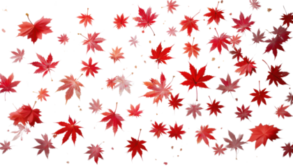 Seamless autumn pattern of red maple leaves with festive star decorations